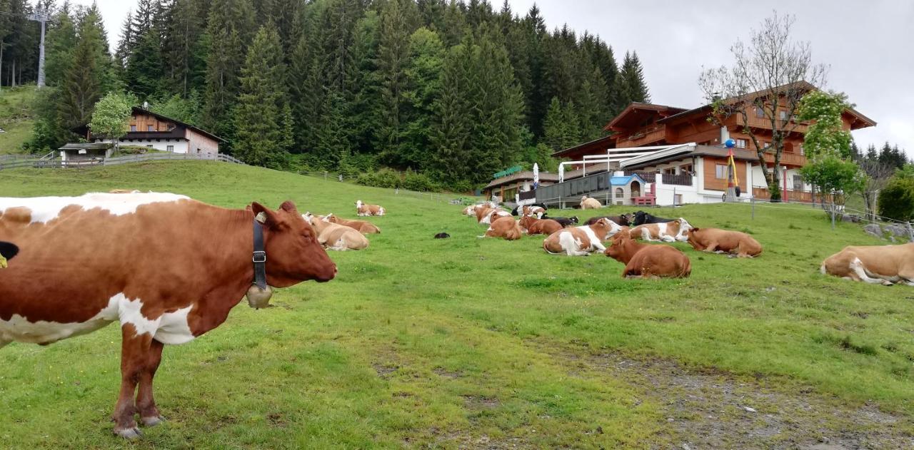 Berghaus Koglmoos Auffach Exterior foto