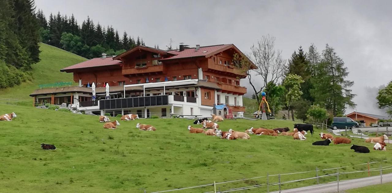 Berghaus Koglmoos Auffach Exterior foto
