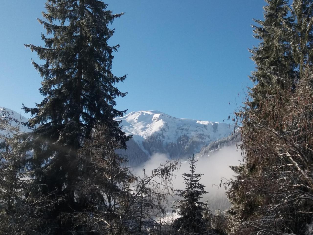 Berghaus Koglmoos Auffach Exterior foto